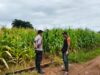 Dukung Ketahanan Pangan Nasional, Bhabinkamtibmas Desa Suka Mulya Sambangi Petani dan Motivasi Persiapan Tanam Jagung
