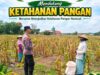 Anggota Bhabinkamtibmas Polsek Senori Polresta Tuban Lakukan Pemantauan Tanaman Jagung Warga Desa Leran Dukung Program Ketahanan Pangan