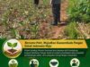 “HADIR BERSAMA PETANI, ANGGOTA POLSEK KEREK DUKUNG PROGRAM KETAHANAN PANGAN NASIONAL”