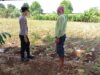 Dukung Asta Cita Presiden, Polsek Tambakboyo Dampingi Petani di Sawah Wujudkan Ketahanan Pangan