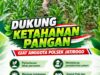 Dukung Asta Cita, Polsek Jatirogo Turun Langsung Pantau Ladang Jagung Warga Desa Besowo