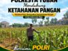 Polsek Tuban Pantau Lahan Jagung, Dukung Program Ketahanan Pangan Nasional