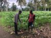 Dukung Ketahanan Pangan, Bhabinkamtibmas Desa Rhee Sambangi Petani yang Sedang Bajak Sawah Seluas 1 Hektare