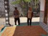 Polri Dukung Astacita, Polsek Grabagan Polresta Tuban Turun Cek Tanaman jagung milik Warga di Desa Grabagan