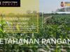Polri Dukung Astacita, Polsek Semanding Polresta Tuban Turun Cek Tanaman jagung milik Warga di Desa Prunggahan Wetan