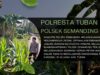 Polsek Kenduruan Polresta Tuban Dukung Ketahanan Pangan, Aipda Sumindar Cek Perkembangan Tanaman Jagung Warga .