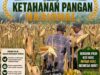 Dukung Ketahanan Pangan Nasional, Polsek Bancar Turun Ke Lahan Jagung Warga Desa Ngujuran