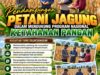 Dukung Ketahanan Pangan Nasional, Polsek Bancar Turun Ke Lahan Jagung Warga Desa Pacing