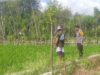Dukung Ketahanan Pangan Nasional, Bhabinkamtibmas Sambangi Warga yang Beraktivitas di Ladang