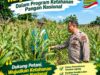 Polsek Bancar Monitoring Lahan Jagung Warga Desa Tenggerkulon, Dukung Program Ketahanan Pangan Nasional*