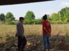Dukung Asta Cita Presiden, Polsek Tambakboyo Turun ke Lahan Dampingi Petani Jagung