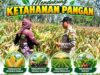 Mendukung Asta Cita Presiden Polisi RW Polsek Senori Polresta Tuban Pantau Kodisi Tanaman Jagung Milik Warga Desa Kaligede