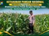 Dukung Ketahanan Pangan Nasional, Polsek Bangilan Monitoring Tanaman Jagung Warga