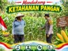 Bhabinkamtibmas Polsek Senori Polresta Tuban Pantau Tanaman Jagung Warga Desa Sendang Guna Dukung Ketahanan Pangan Nasional