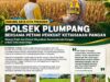 Polsek Plumpang Polresta Tuban Turun Langsung Cek Tanaman Jagung Warga