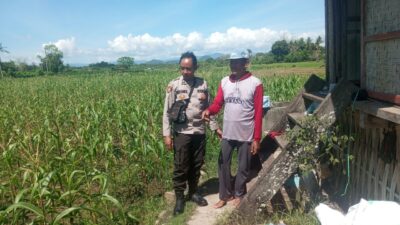 Dukung Ketahanan Pangan Nasional, Bhabinkamtibmas Desa Poto Sambangi Lahan Pertanian Warga