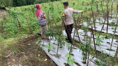 Dukung Ketahanan Pangan Nasional, Bhabinkamtibmas Masbagik Utara Baru Sambangi Warga dan Monitoring Lahan Pertanian