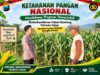 Mendukung Asta Cita Presiden bhabinkamtibmas Polsek Montong Polresta Tuban Pantau Kodisi Tanaman Jagung Milik Warga Desa pakel