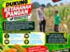 Dukung Astacita, Polsek Palang Polresta Tuban Pantau Langsung Lahan Jagung milik warga Desa Wangun