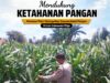 Dukung Ketahanan Pangan, Polsek Tuban Turun Langsung Pantau Tanaman Jagung