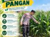 Dukung Ketahanan Pangan, Bhabinkamtibmas Monitoring Pertumbuhan Tanaman Jagung