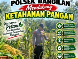 Dukung Ketahanan Pangan, Bhabinkamtibmas Monitoring Pertumbuhan Tanaman Jagung
