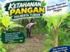 Polsek Tuban Dukung Ketahanan Pangan, Bhabinkamtibmas Monitoring Lahan Pertanian Warga