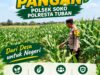 Polsek Soko Polresta Tuban Turun Langsung Cek Tanaman Jagung Warga