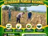 TURUN KE LAPANGAN, ANGGOTA POLSEK KEREK BANTU PETANI PANEN JAGUNG DI DESA BINAAN