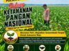 Polsek Parengan Polresta Tuban Pantau Lahan Jagung Warga Desa Selogabus Dukung Program Astacita
