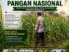 BHABINKAMTIBMAS PANTAU PERTUMBUHAN TANAMAN JAGUNG DI DESA BINAAN