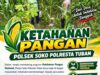 Dukung Ketahanan Pangan, Polsek Bangilan Monitoring Tanaman Jagung