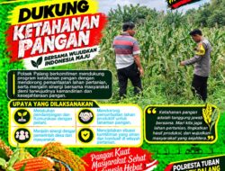 Anggota Polsek Singgahan Polresta Tuban Turun Cek Tanaman jagung Warga di Desa Mulyorejo