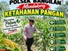 Dukung Program Ketahanan Pangan, Polsek Bangilan Monitoring Pertumbuhan Tanaman Jagung
