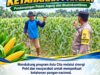Polsek Soko Polresta Tuban Turun Langsung Cek Tanaman Jagung Warga