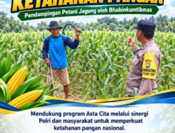 Polsek Soko Polresta Tuban Turun Langsung Cek Tanaman Jagung Warga