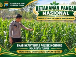 Mendukung Asta Cita Presiden bhabinkamtibmas Polsek Montong Polresta Tuban Pantau Kodisi Tanaman Jagung Milik Warga Desa pakel