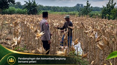 Polsek Parengan Polresta Tuban Pantau Lahan Jagung Warga Desa Parangbatu Dukung Program Astacita