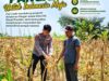 Polri Dukung Astacita, Polsek Merakurak Polresta Tuban Turun Cek Tanaman Jagung Warga di Desa Tuwiri Wetan