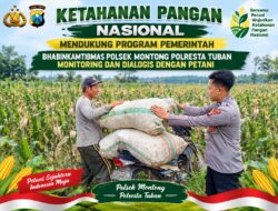 Mendukung Asta Cita Presiden bhabinkamtibmas Polsek Montong Polresta Tuban Pantau Kodisi Tanaman Jagung Milik Warga Desa pakel