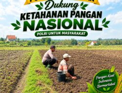 Anggota Polsek Singgahan Polresta Tuban Turun Cek Tanaman jagung Warga di Desa Mergosari