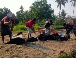 Sertu Muhasim Turun Tangan, Warga Peteluan Indah Makin Kompak