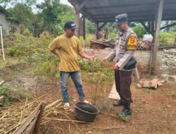 Dukung Ketahanan Pangan Nasional, Bhabinkamtibmas Desa Labangka Sambangi Pekarangan Warga dan Beri Motivasi Petani Cabai