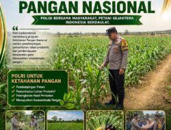 POLSEK KEREK POLRESTA TUBAN LAKUKAN PEMANTAUAN TANAMAN JAGUNG WARGA BINAAN, DUKUNG KETAHANAN PANGAN NASIONAL