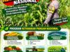 DUKUNG KETAHANAN PANGAN! Polsek Jatirogo Cek Lahan Jagung Warga Desa Demit