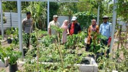 Dukung Ketahanan Pangan, Bhabinkamtibmas Desa Air Suning Dampingi Dinas Pertanian Prov. NTB Cek Kebun PKK