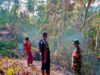 Kebakaran Hutan di Mareje Hanguskan 40 Hektare Lahan