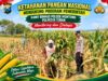 Mendukung Asta Cita Presiden Polmas Polsek Montong Polresta Tuban Pantau Kodisi Tanaman Jagung Milik Warga Desa Jetak