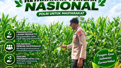 Anggota Polsek Singgahan Polresta Tuban Turun Cek Tanaman jagung Warga di Desa Tingkis