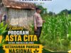 “PANTAU PERTUMBUHAN JAGUNG PETANI, POLSEK KEREK DUKUNG PROGRAM KETAHANAN PANGAN NASIONAL”